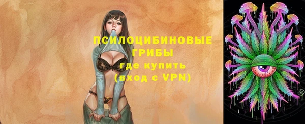 СК Вяземский